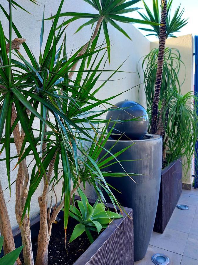 Duplex With Sea Views, Garden And Terrace Apartment Santa Cruz de Tenerife Bagian luar foto